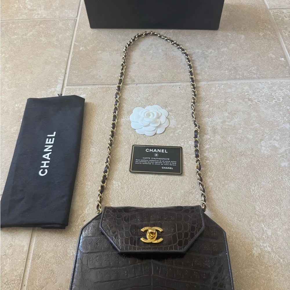 Chanel crocodile brown stunning bag - Picture 11 of 14